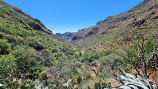 2023-04-GranCan-Guayadeque-065.jpg